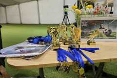 IMG-20250217-WA0045